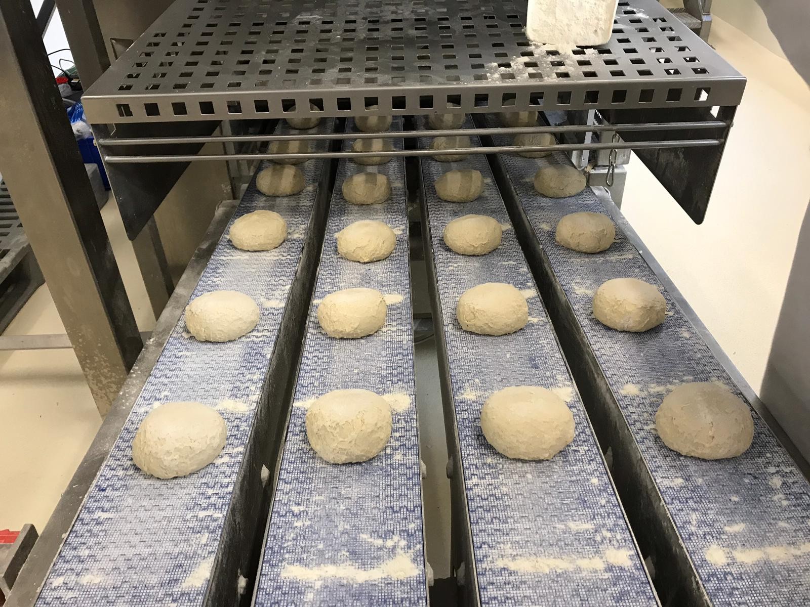 Pizza Dough Trials